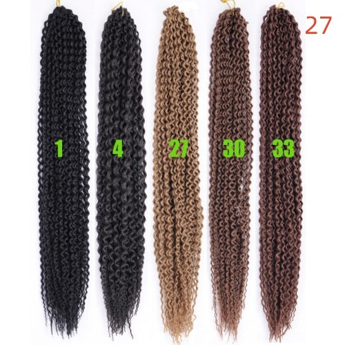 Black Braids Curly Hair Wigs