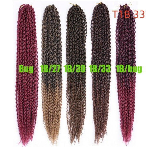 Black Braids Curly Hair Wigs