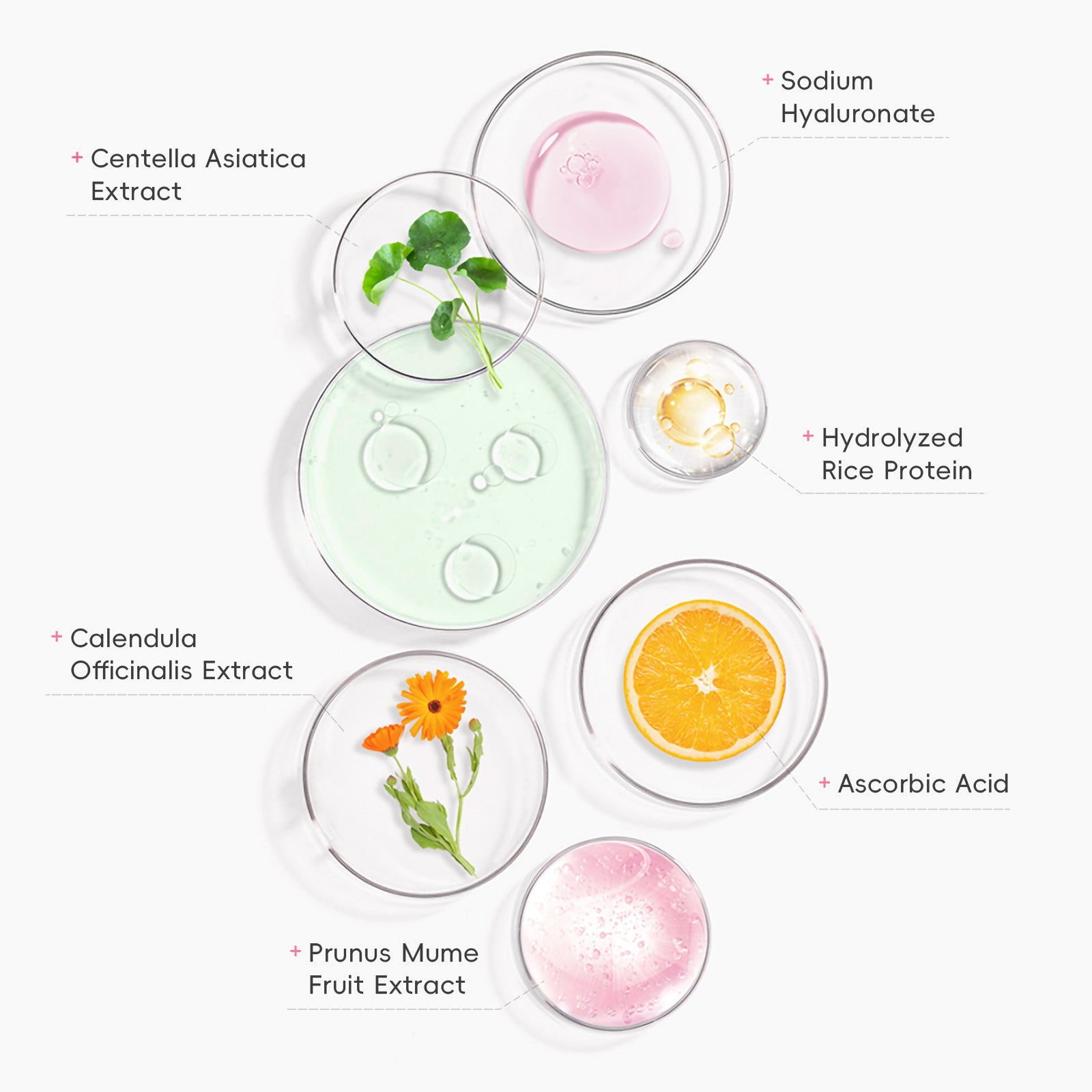 Protective Makeup Primer Moisturizing