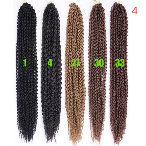 Black Braids Curly Hair Wigs