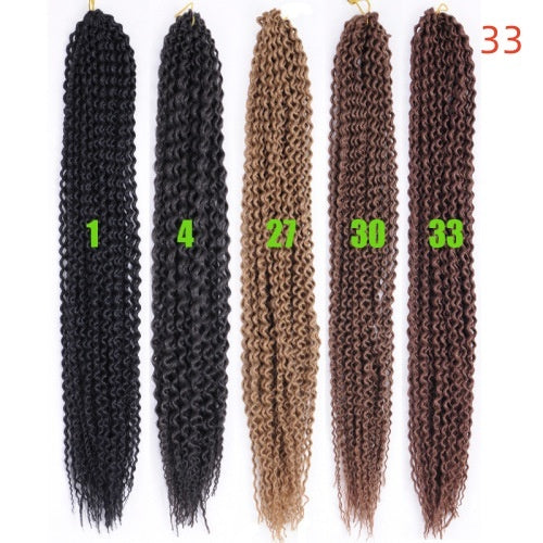Black Braids Curly Hair Wigs